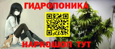 spice Старая Купавна