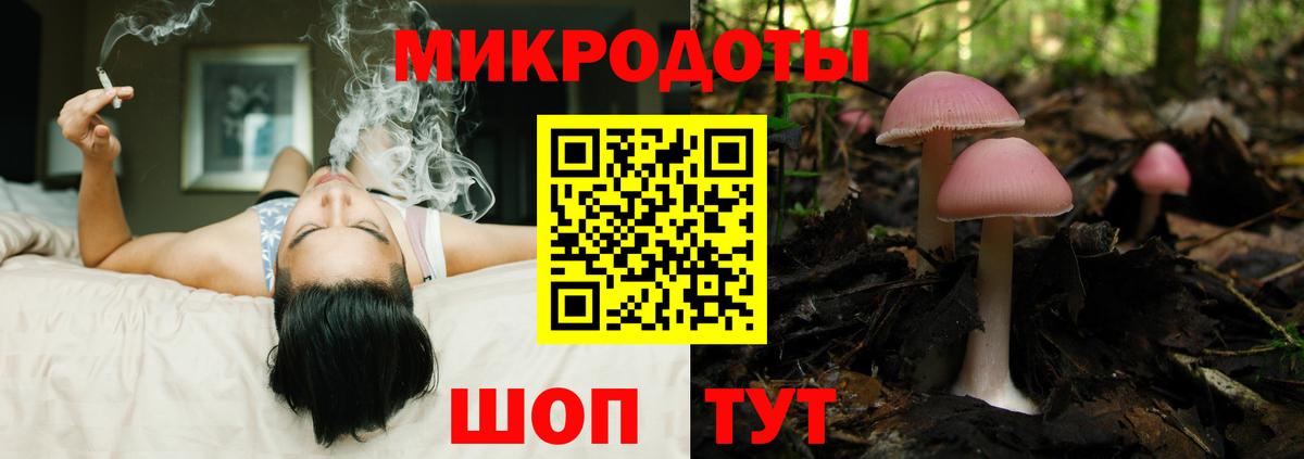 Псилоцибиновые грибы Psilocybe  Вход с VPN  Первоуральск 